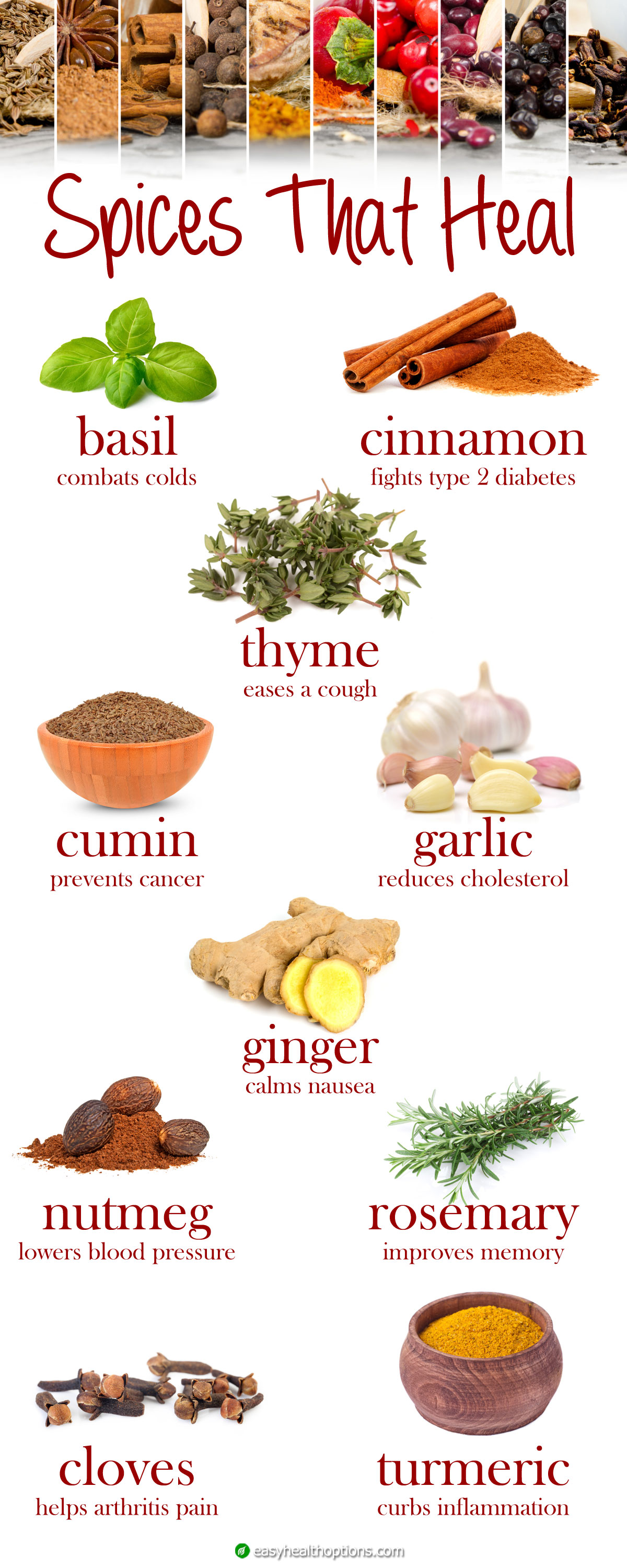 Spices That Heal infographic Easy Health Options 