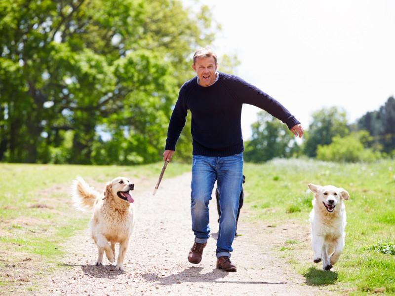 Can the canine cure work for you? - Easy Health Options®