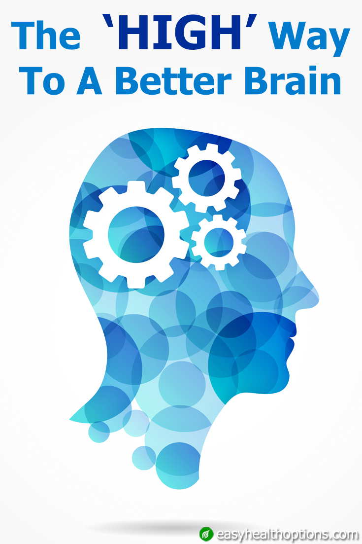 desertroseartdesigns The Better Brain Book