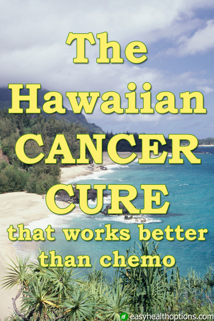 The noni plant The Hawaiian cancer cure that works better than chemo
