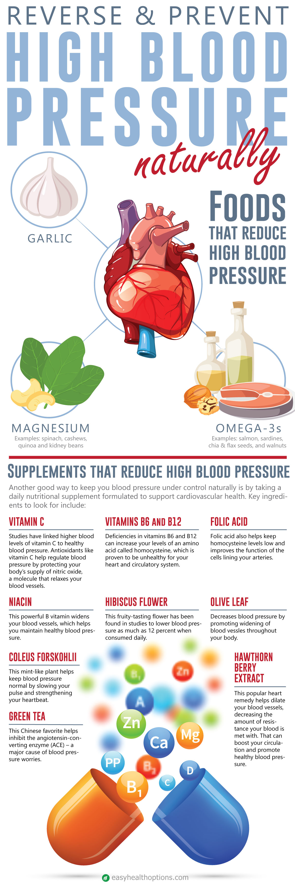 Reverse And Prevent High Blood Pressure Naturally infographic Easy 
