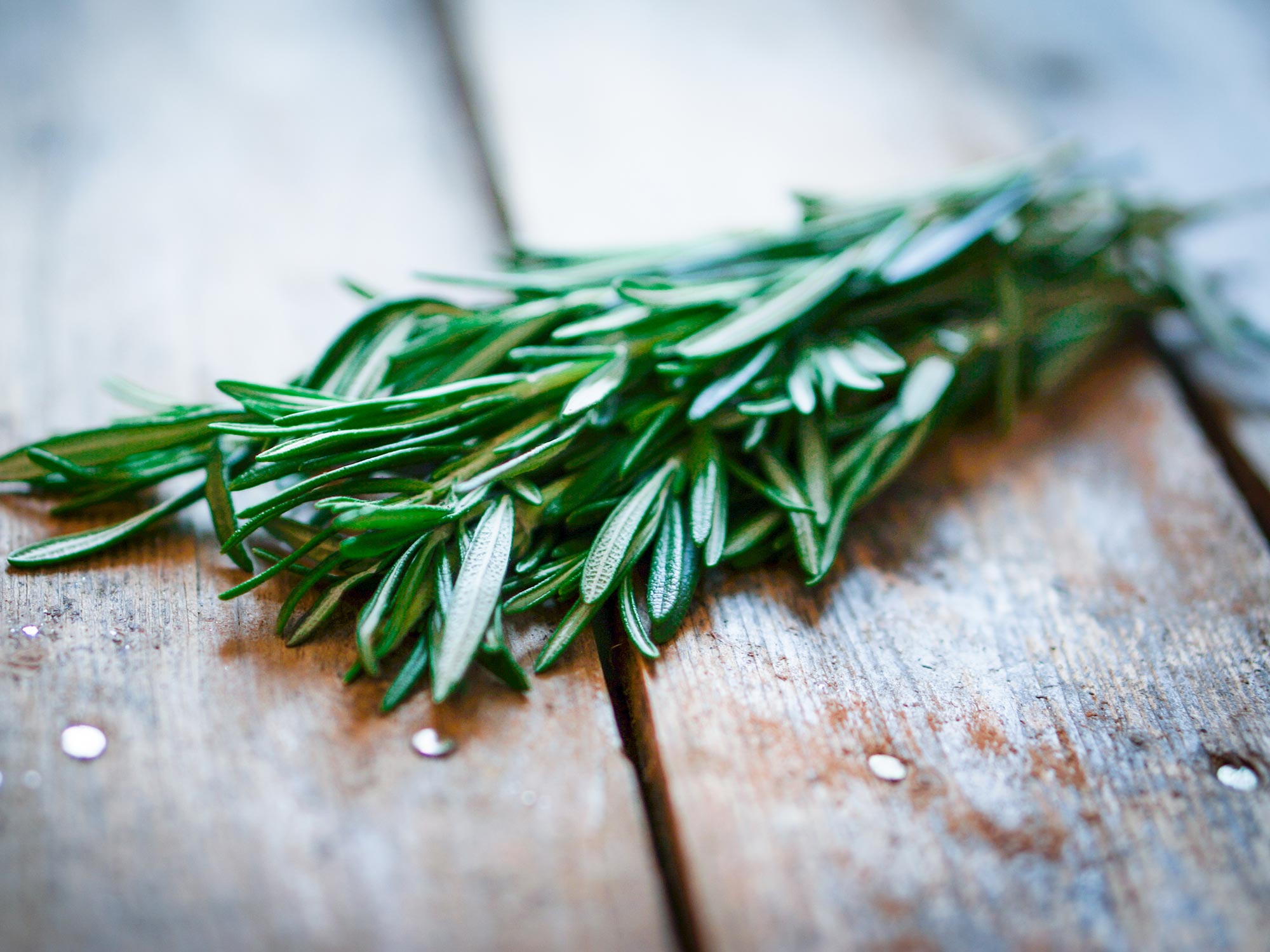 For a brain boost, stop and smell the rosemary