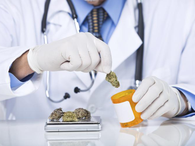 The cannabis cure: A doctor’s pursuit