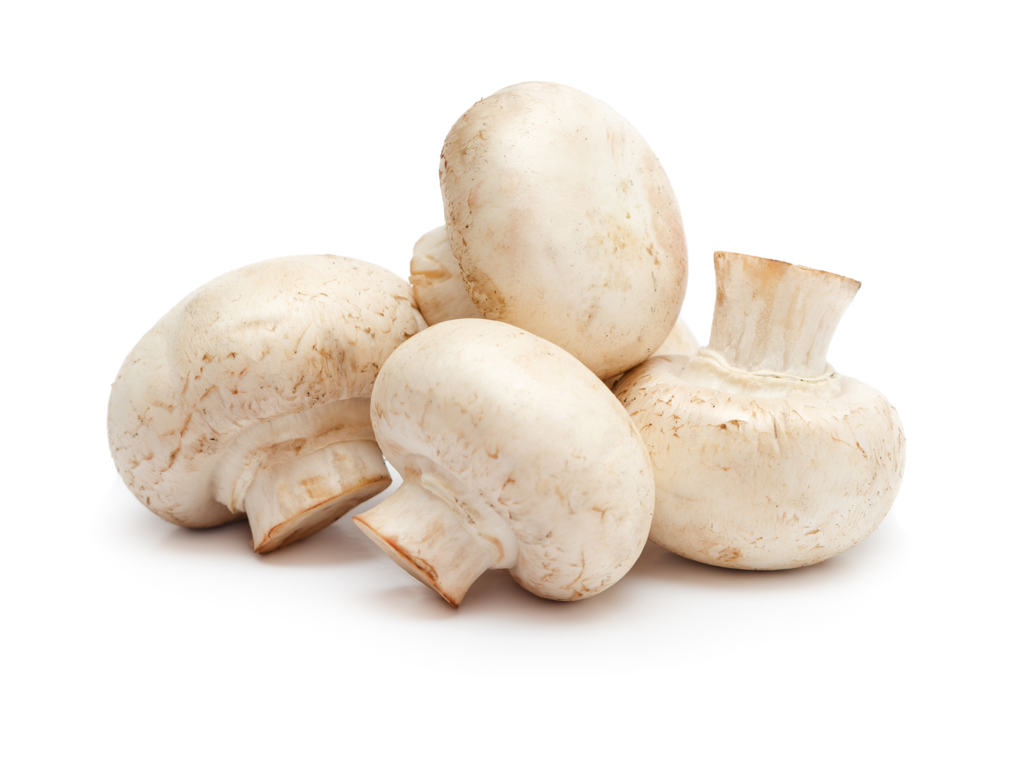 10+ ways mushrooms protect your body like nothing else