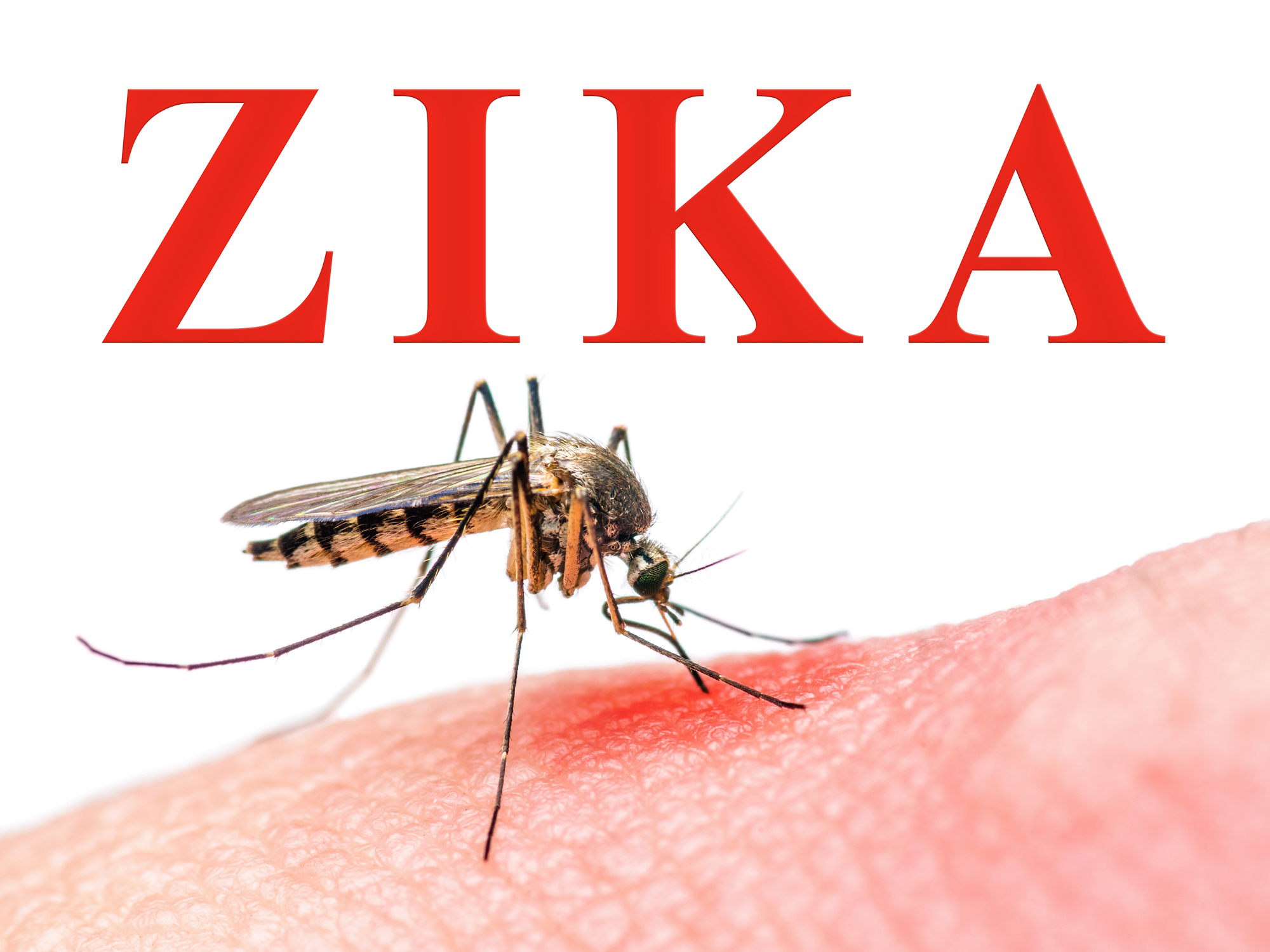 Avoid Zika’s Alzheimer’s threat