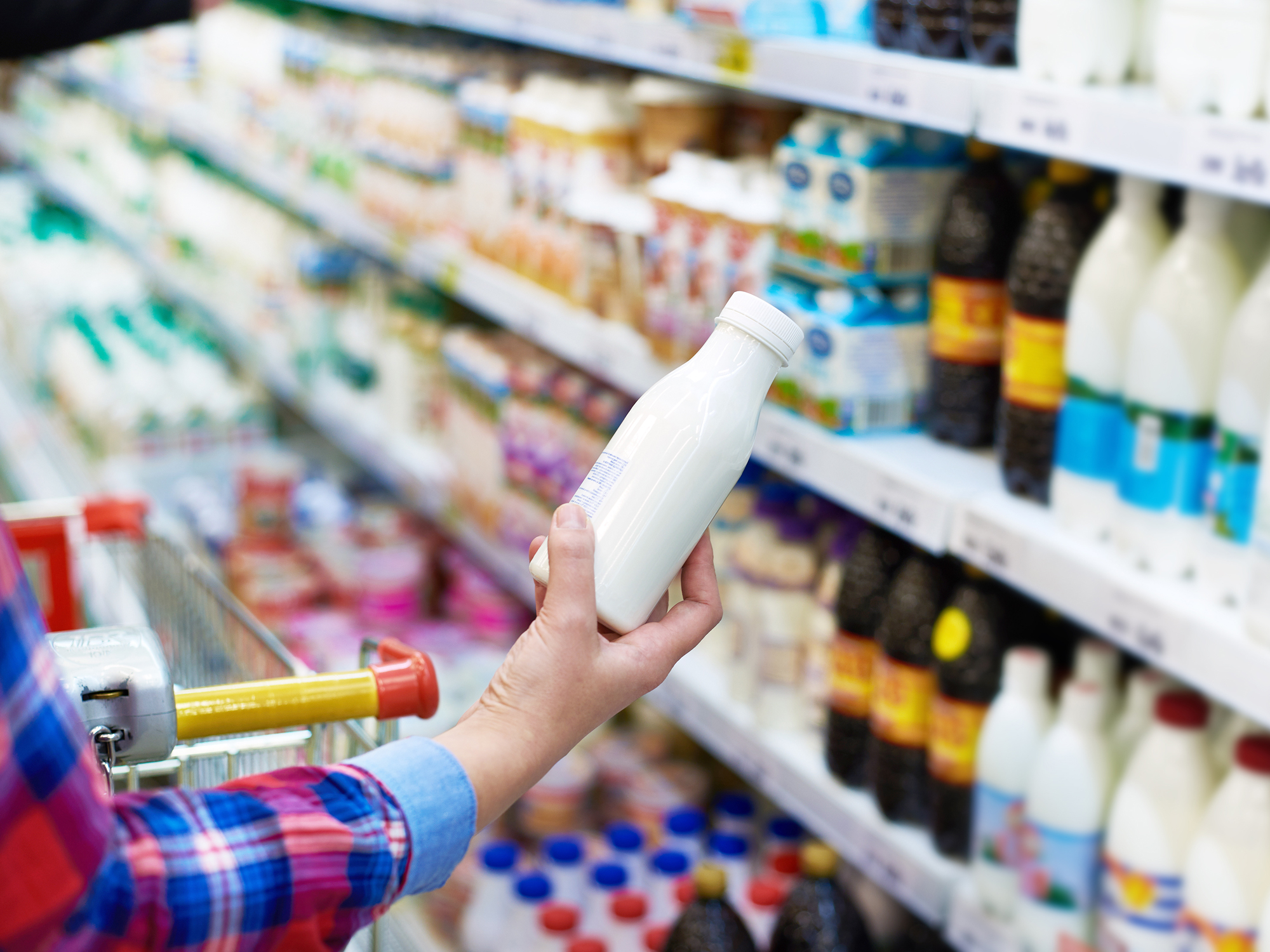 What kind of milk is the next big thing? - Easy Health Options®