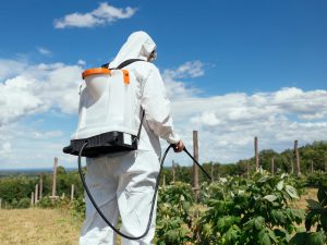Spraying herbicide on crops
