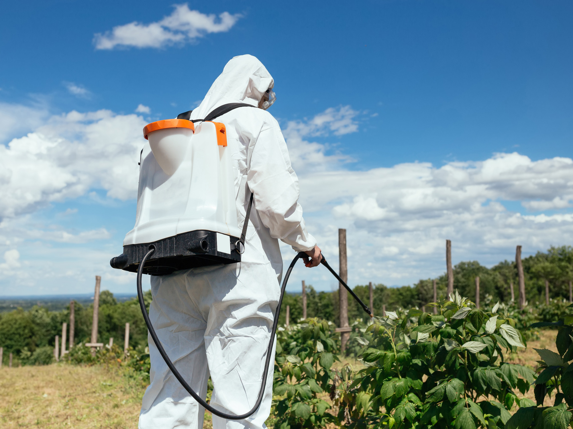 Treating herbicide buildup in your body