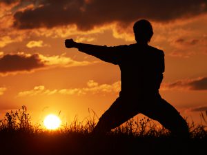 The Zen warrior's path to whole health - Easy Health Options®