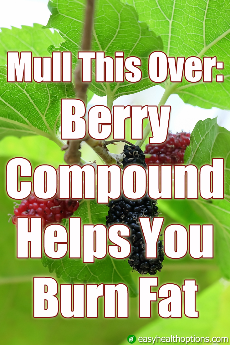 Berry compound helps you burn fat Easy Health Options®
