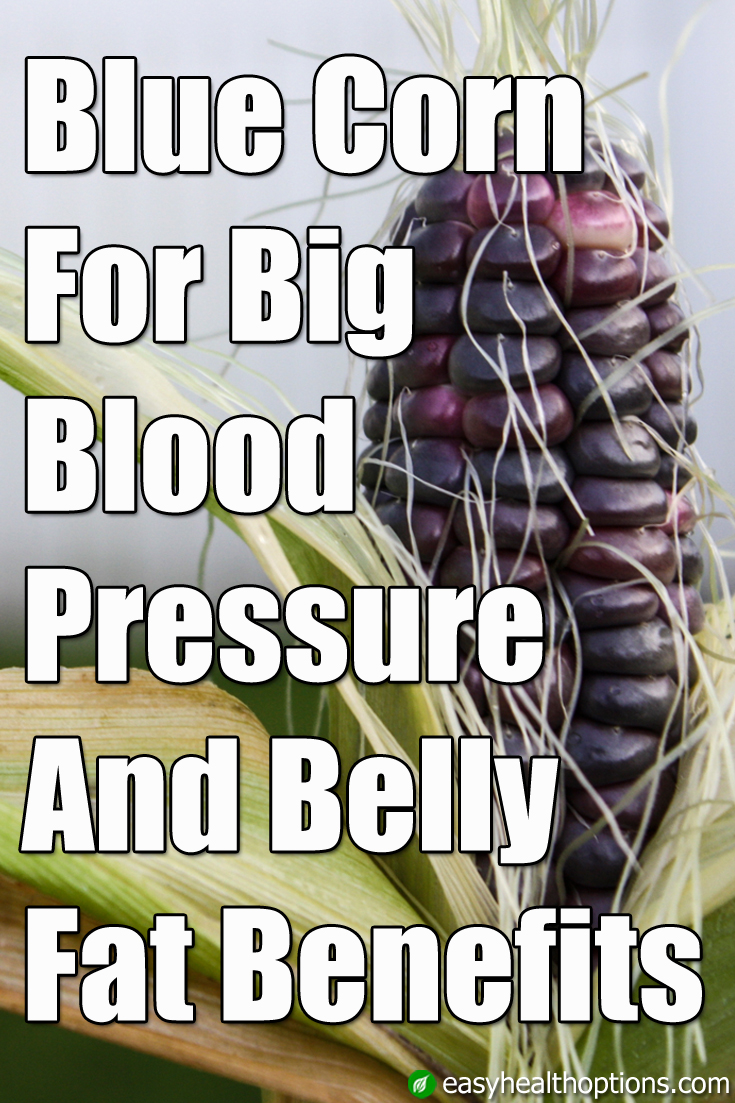 Blue corn for big blood pressure and belly fat benefits Easy Health