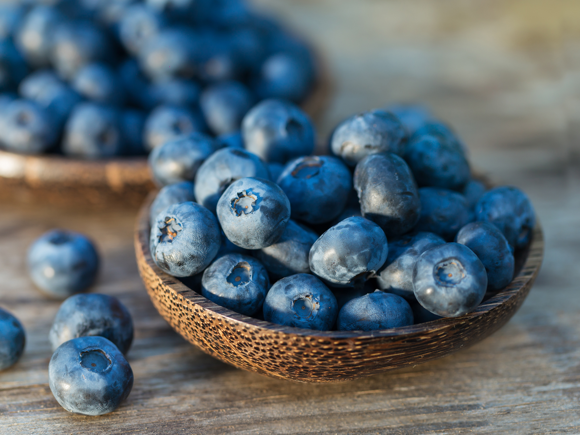 Fuel and grow your brain with blueberries