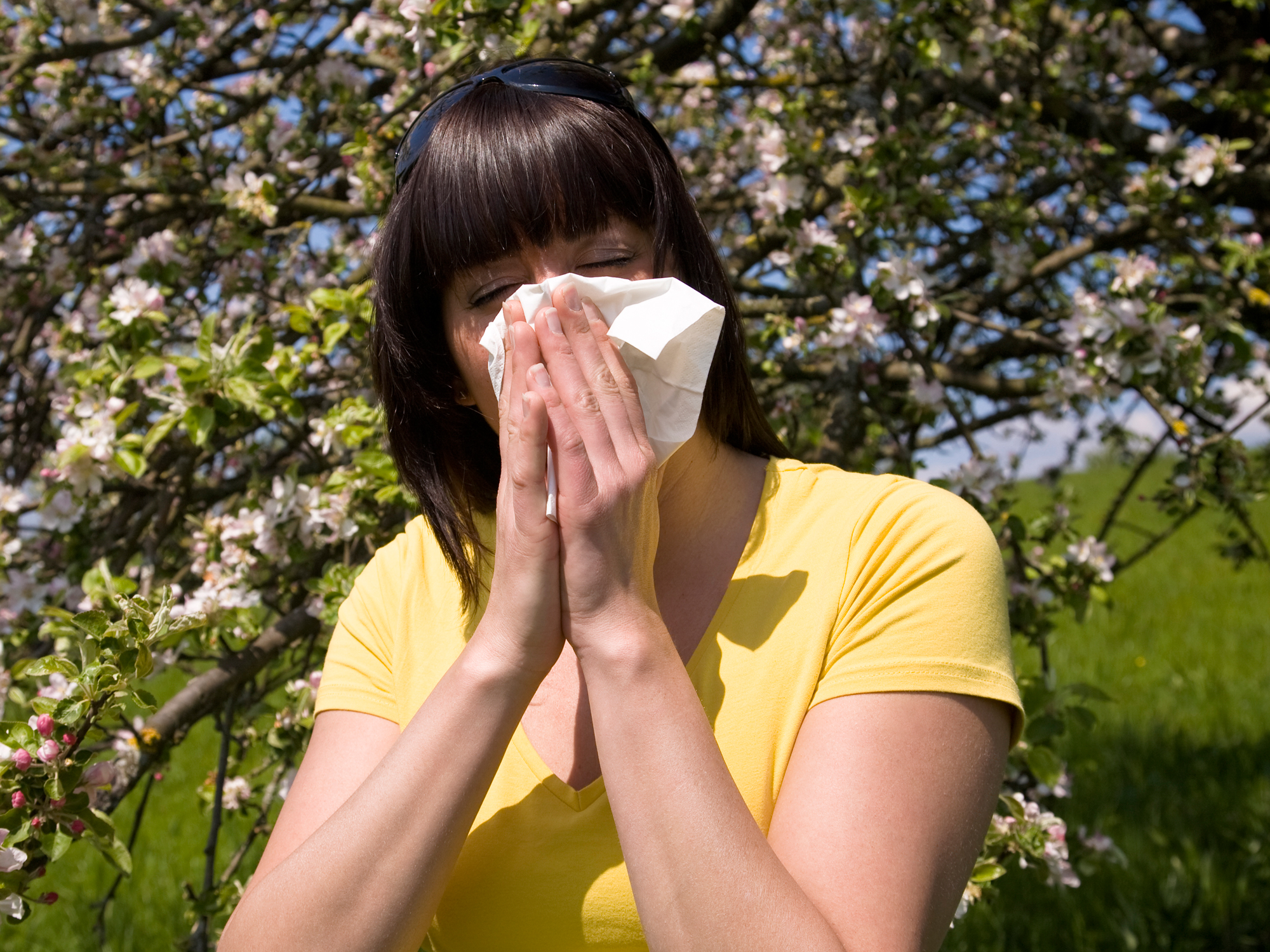 Hay fever help without the foggy head or racing heart