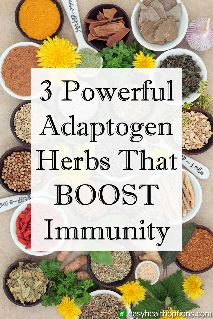 3 powerful adaptogen herbs that boost immunity - Easy Health Options®