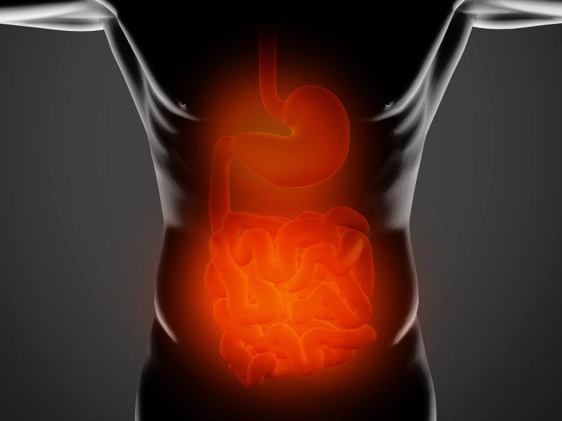 3 ways digestion makes or breaks your health Easy Health Options®