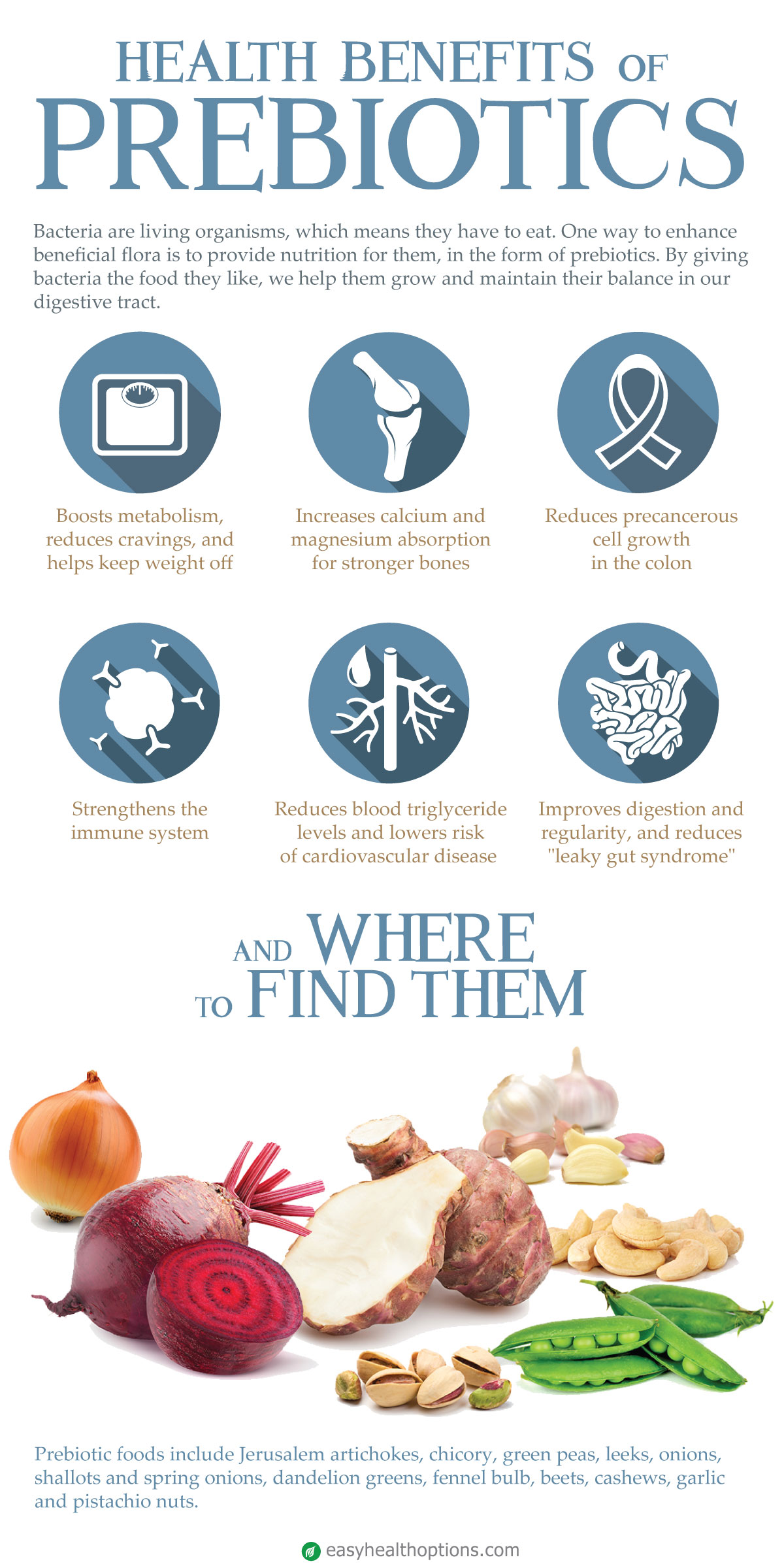 Health benefits of prebiotics and where to find them [infographic ...