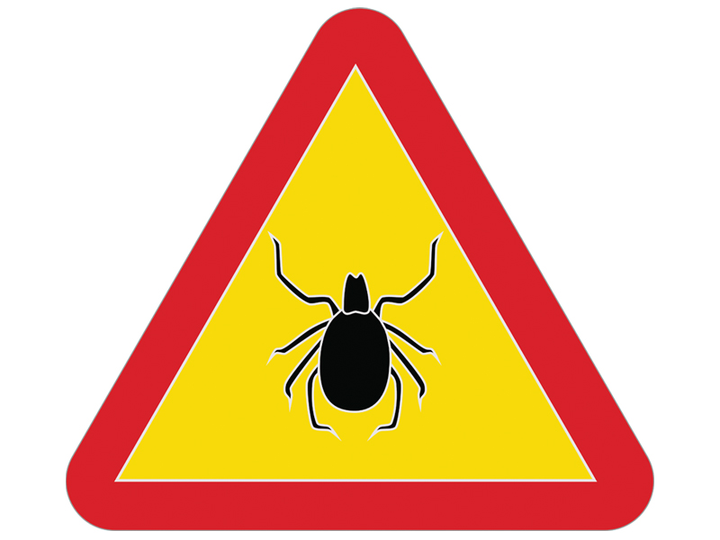 Avoid Lyme disease during tick season