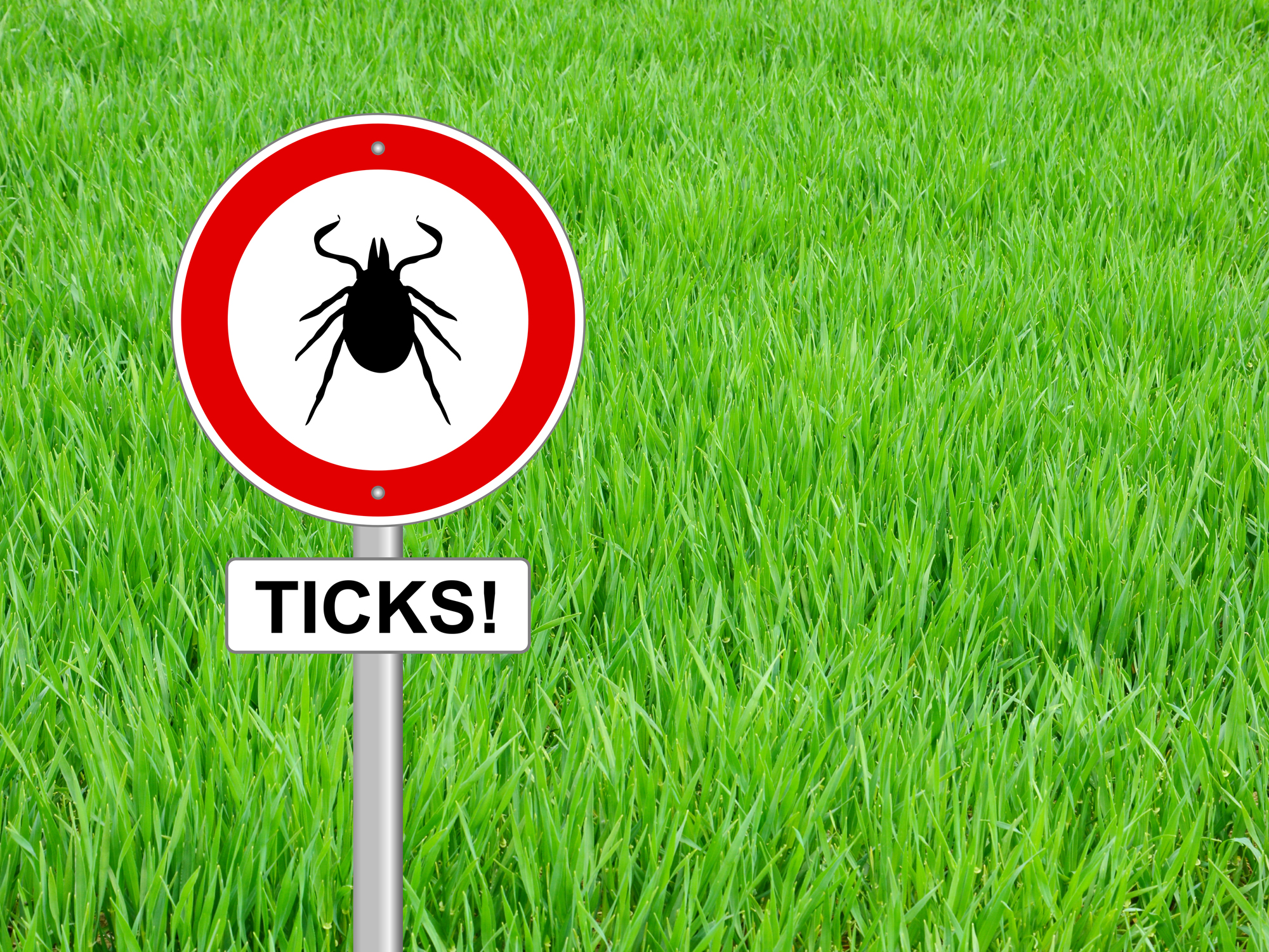 The new tick danger