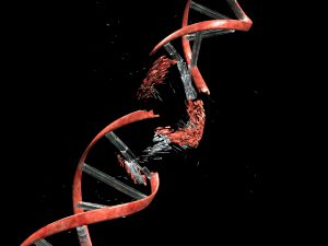 DNA