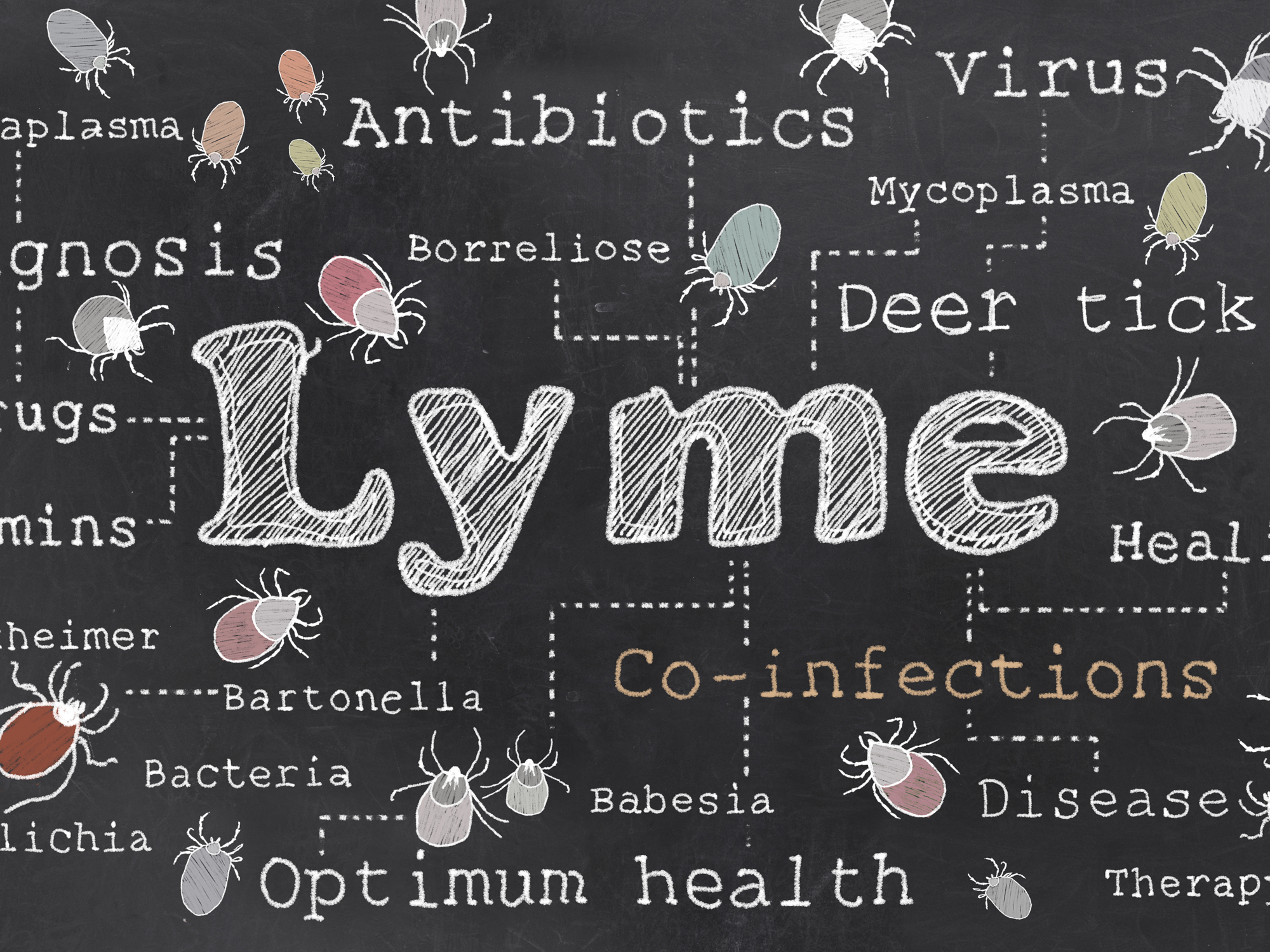 This sweet solution to Lyme disease