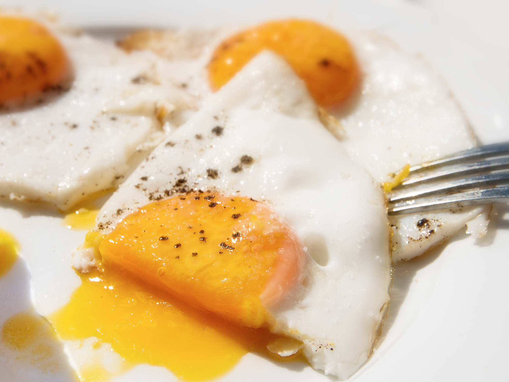 We were so wrong about eggs