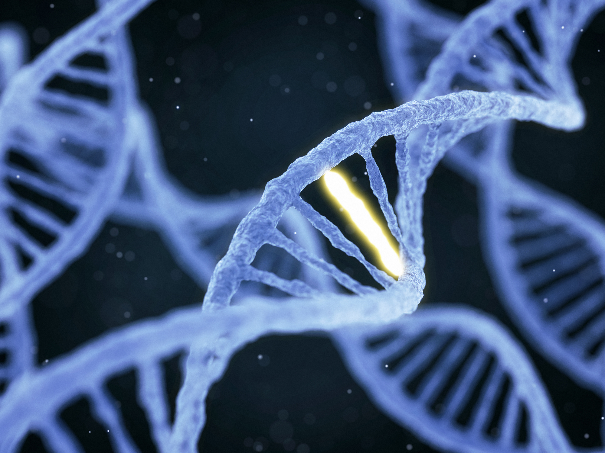 Two DNA hacks to improve your bad genes
