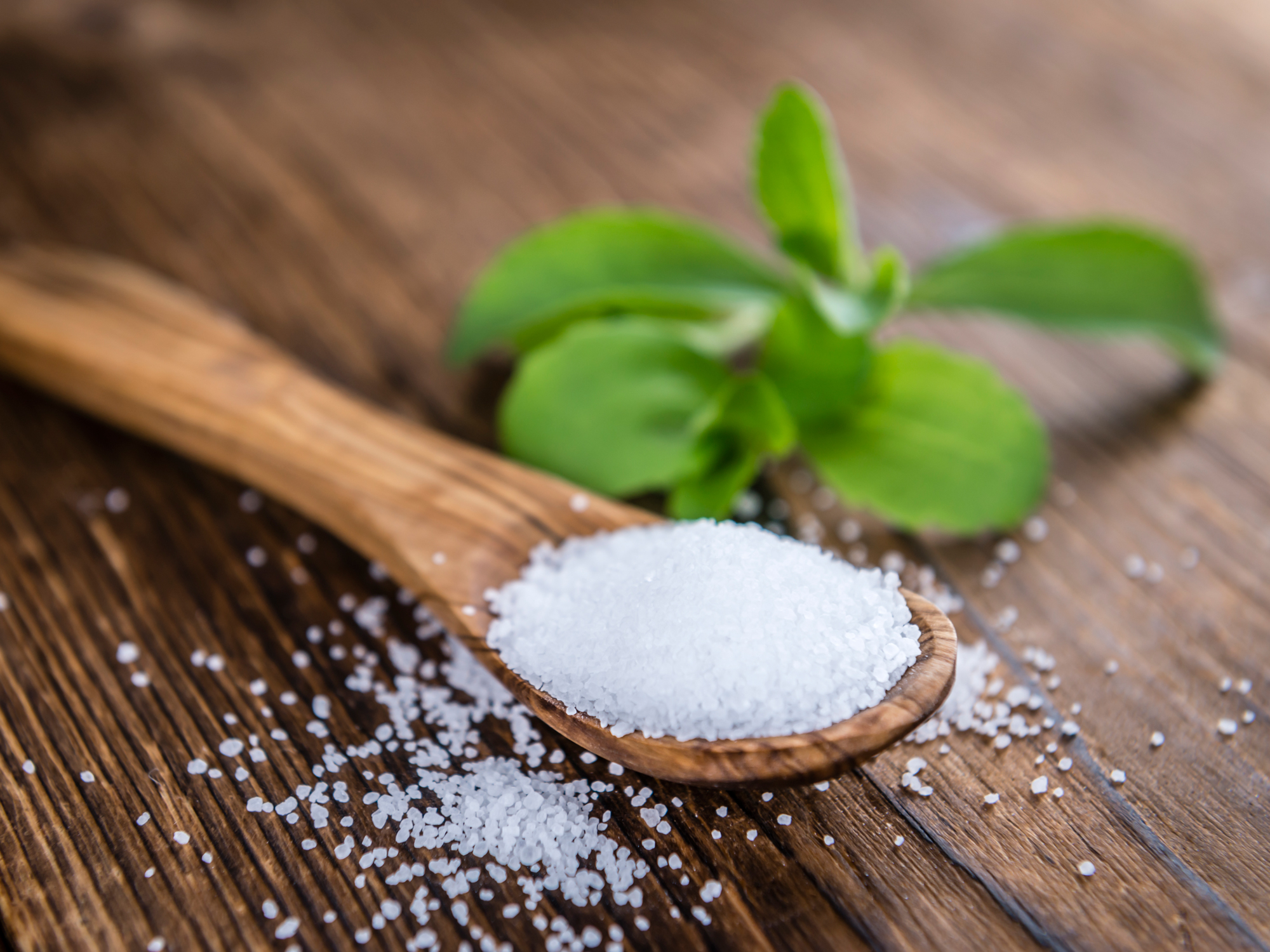 Could stevia protect you from Lyme disease?