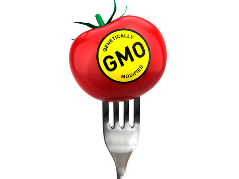 The connection between GMOs, glyphosate and cancer