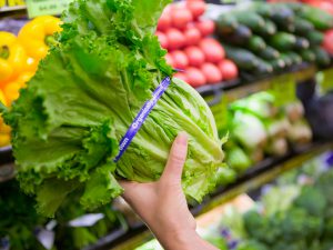 Vegetables in store