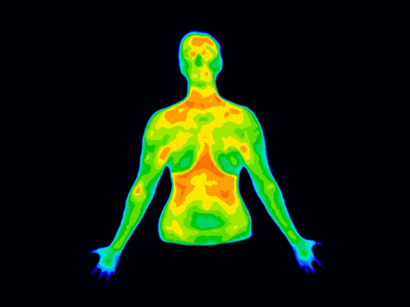 Is thermography the best option for breast screening