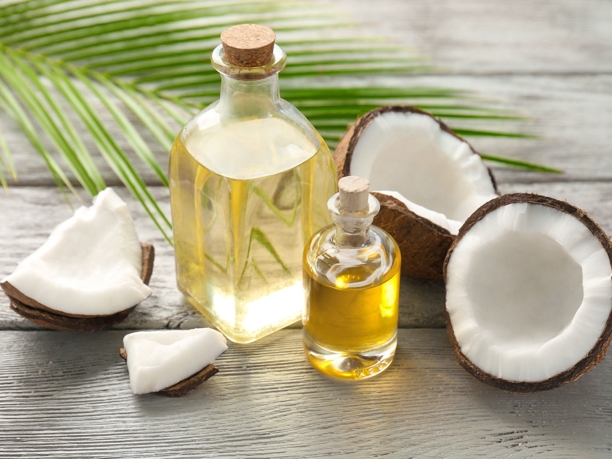Coconut oil stops this deadly gut bacteria in its tracks