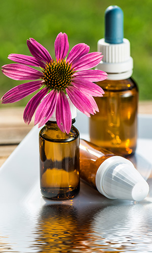 echinacea is a proven summer cold remedy