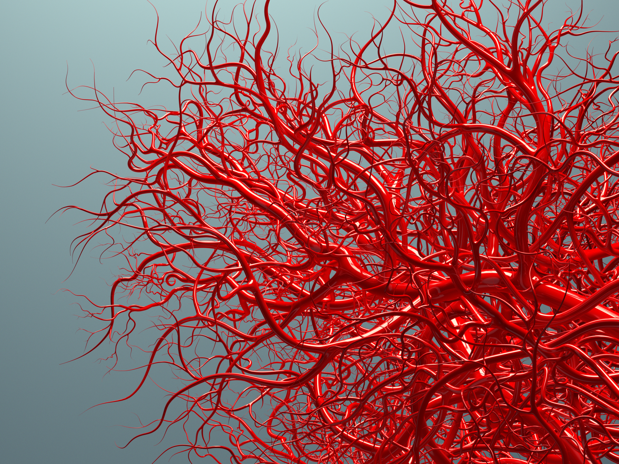 How to make your blood vessels younger to avoid heart attack and stroke