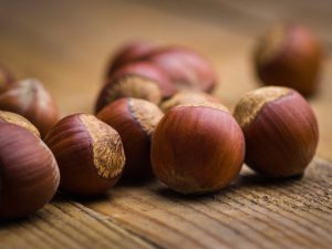 Hazelnuts
