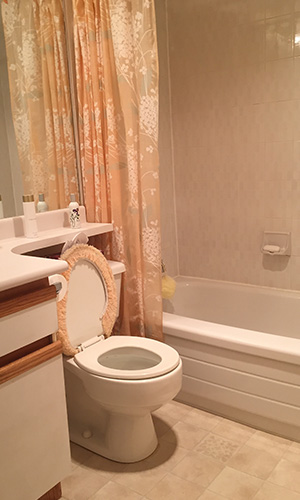 allergenic mold is common in bathrooms