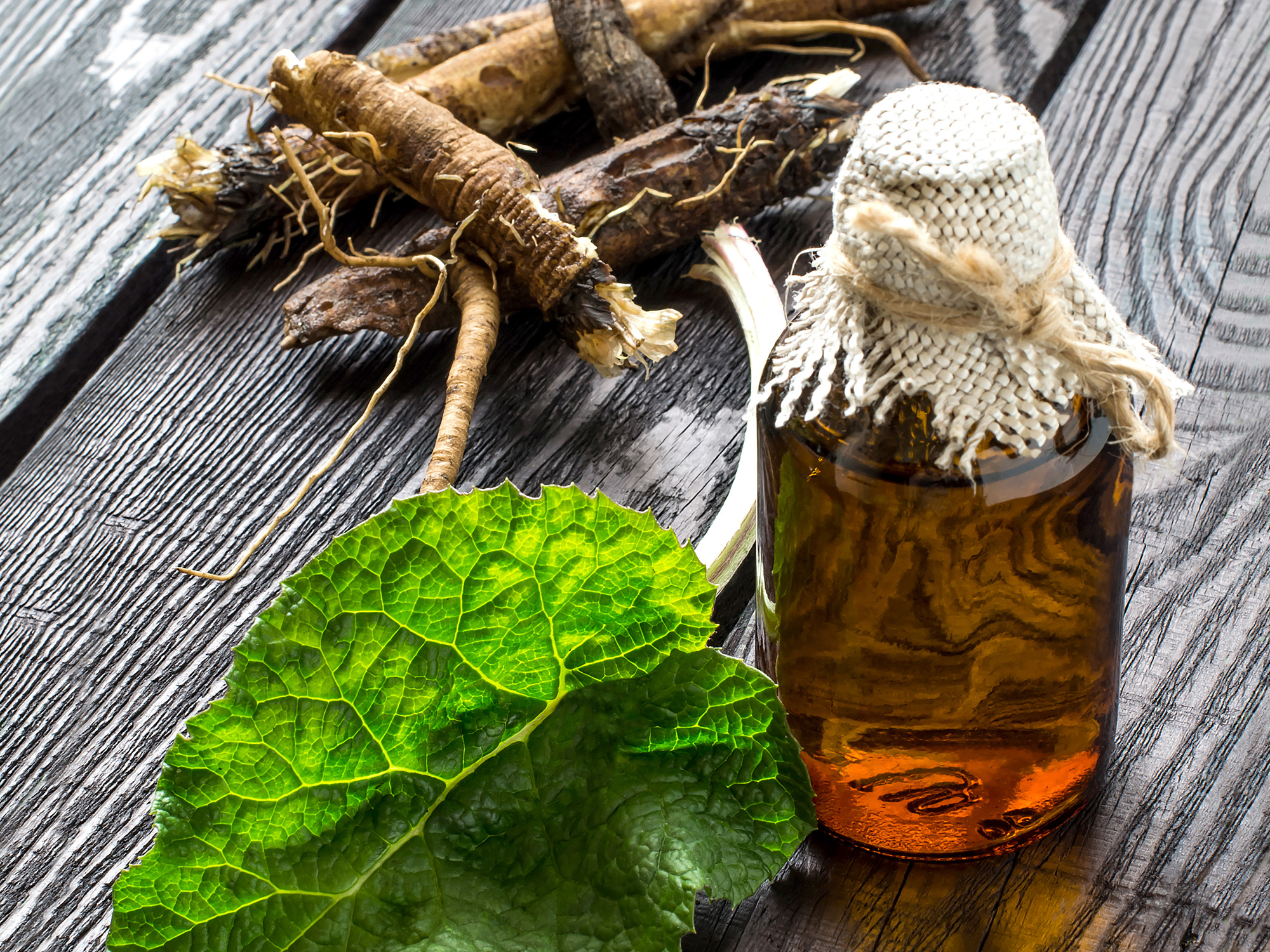 6 ways burdock root can help you stick to good health