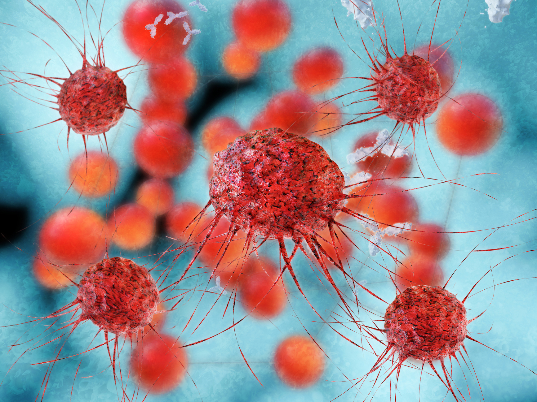 How science is helping the immune system find and kill breast cancer