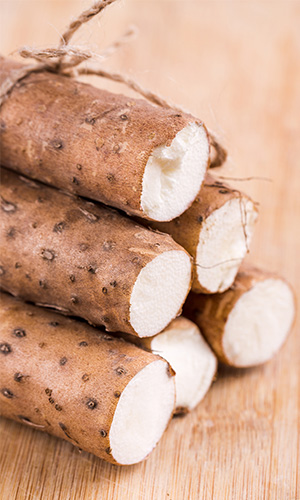 Chinese yam