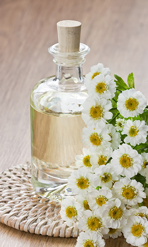 Chamomile essential oil