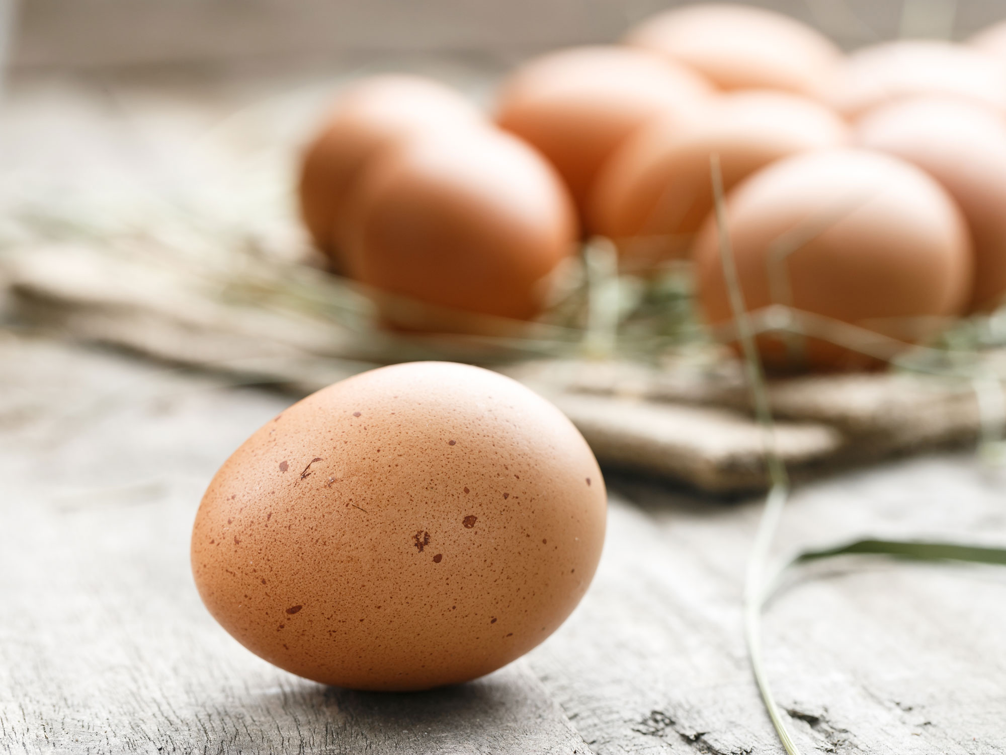 What’s new? Cancer-fighting eggs produced from hens with human genes