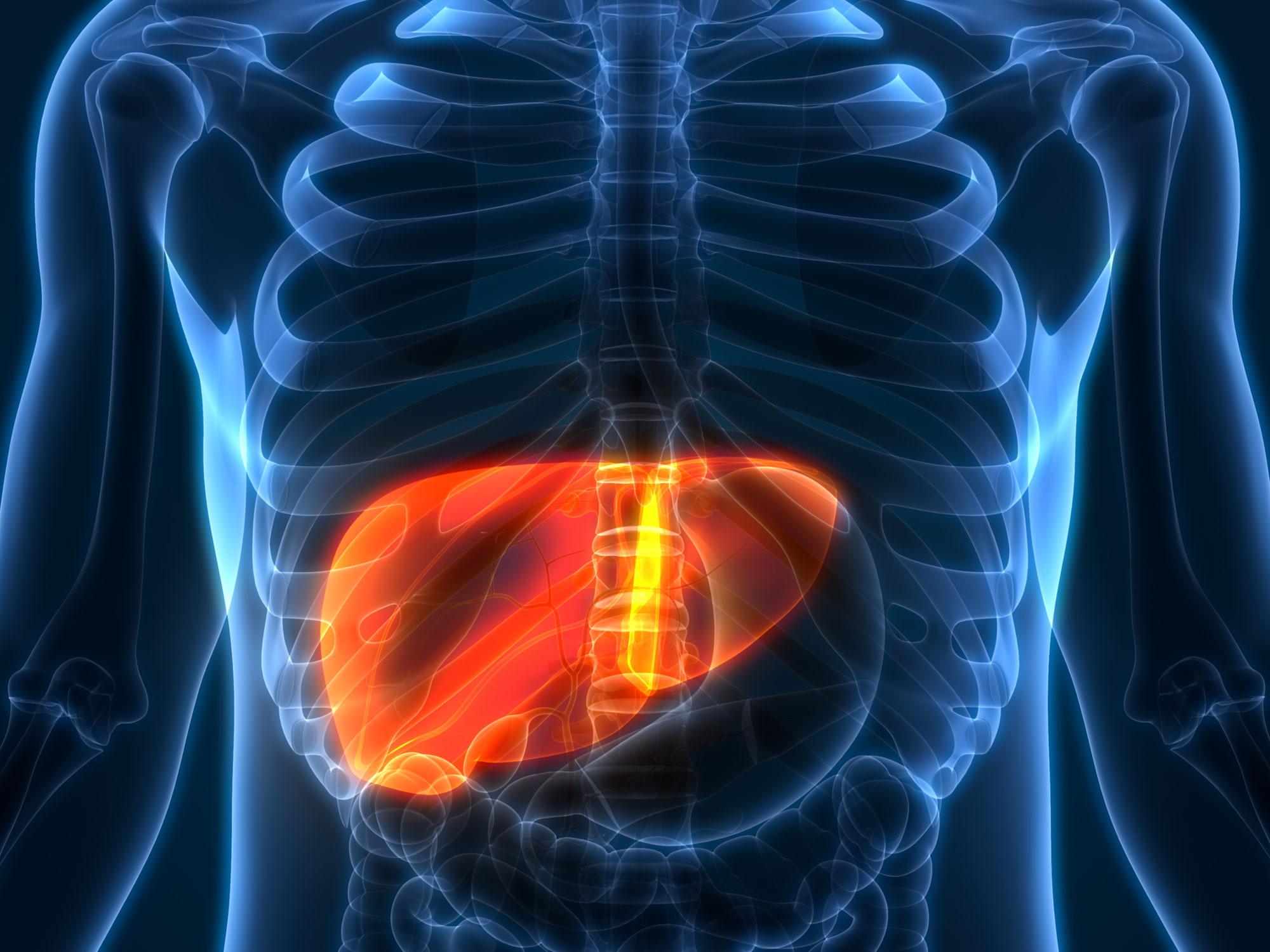 Slash liver cancer nearly 40 percent with the ‘right’ fiber