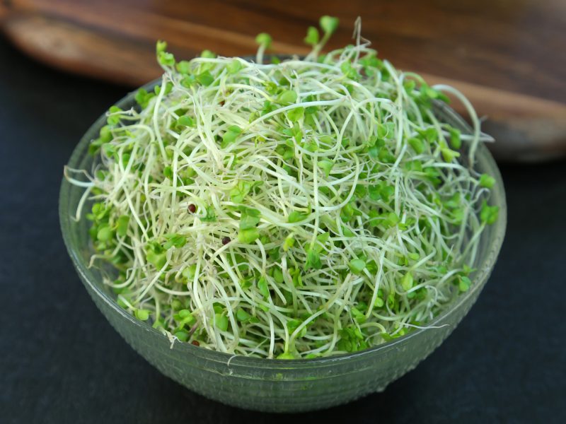 Broccoli sprouts could treat mental disorders Easy Health Options®