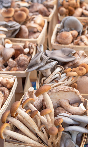 Mushrooms at farmer's market