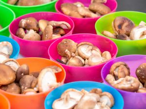 Mushrooms