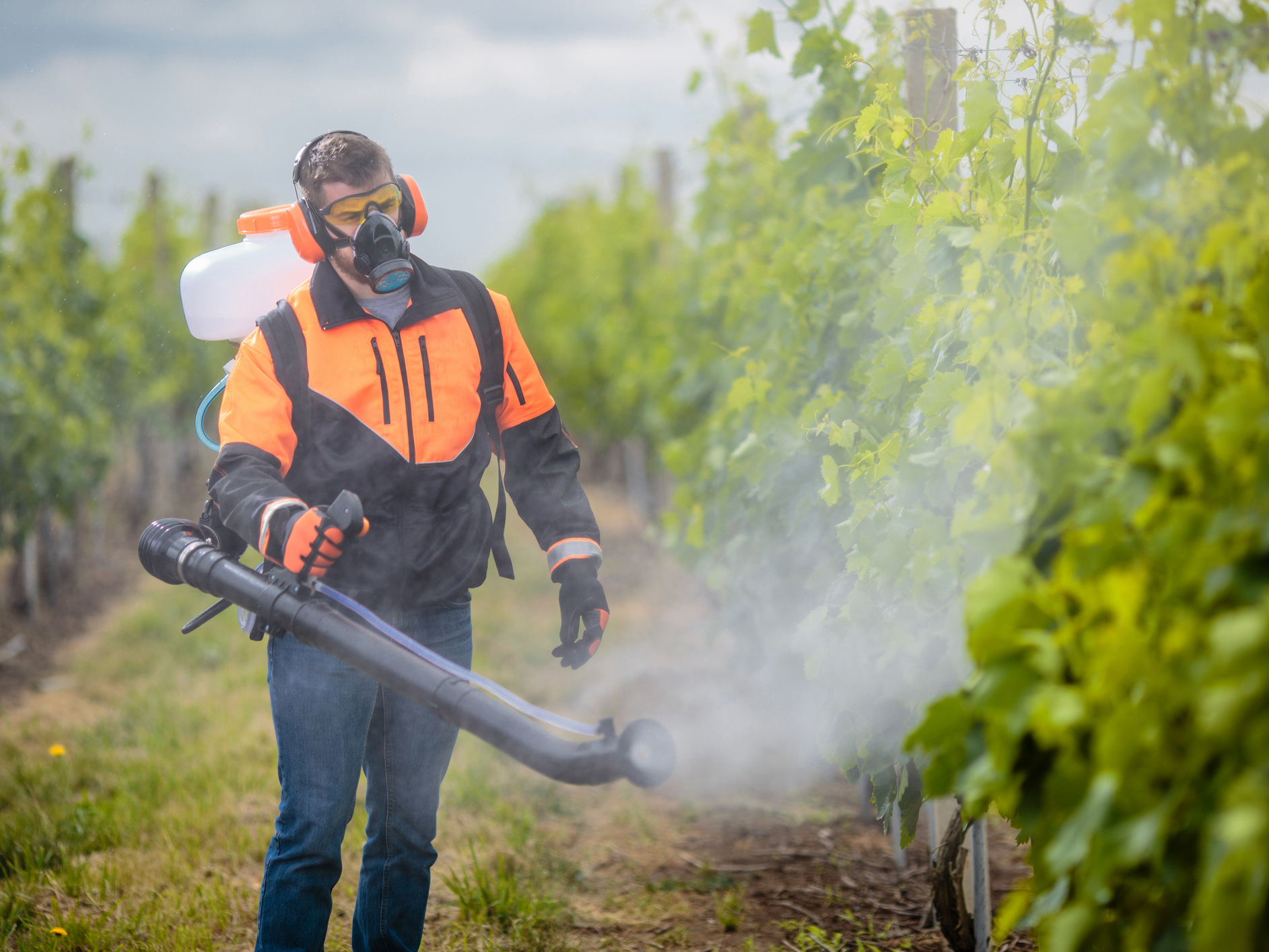 On-the-job exposure to pesticides raises heart disease risk 45 percent