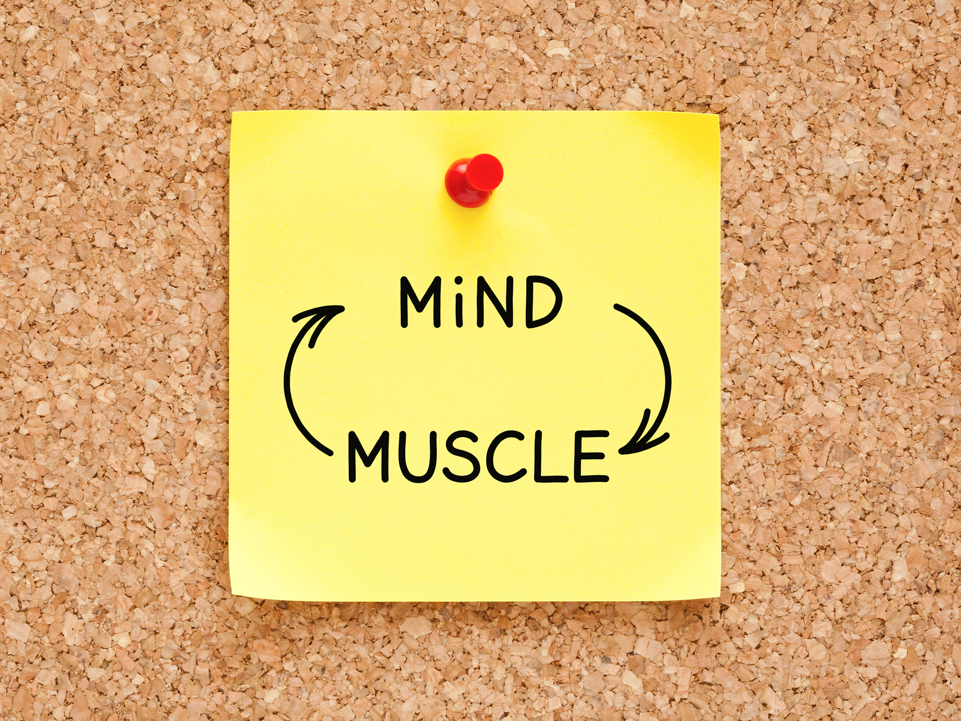 How muscle loss shrinks your brain and the vitamin that protects both