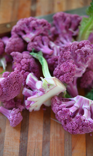 Purple cauliflower