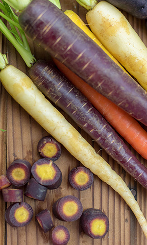 Purple carrots