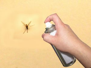 Pyrethroid insecticides kill mosquitos