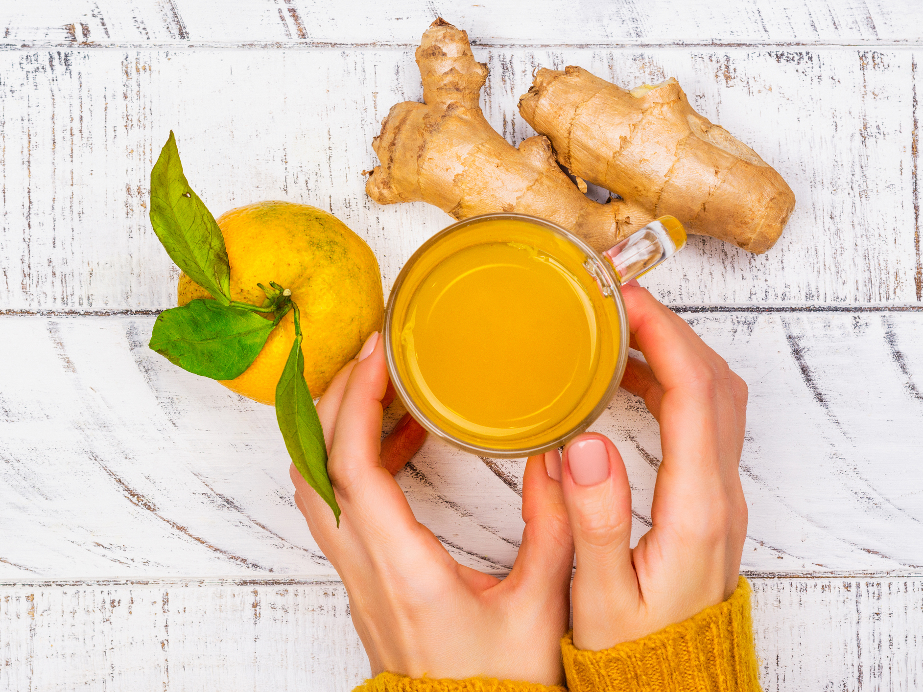 Ginger’s potential to ward of superbugs and other ways to avoid nosocomial infections
